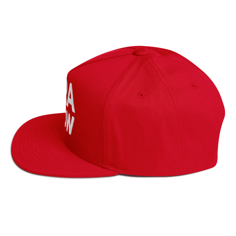 ERA NOW Hat - raise awareness and money for charity. Pro democracy. Shop for a cause. Perfect Protest Wear.