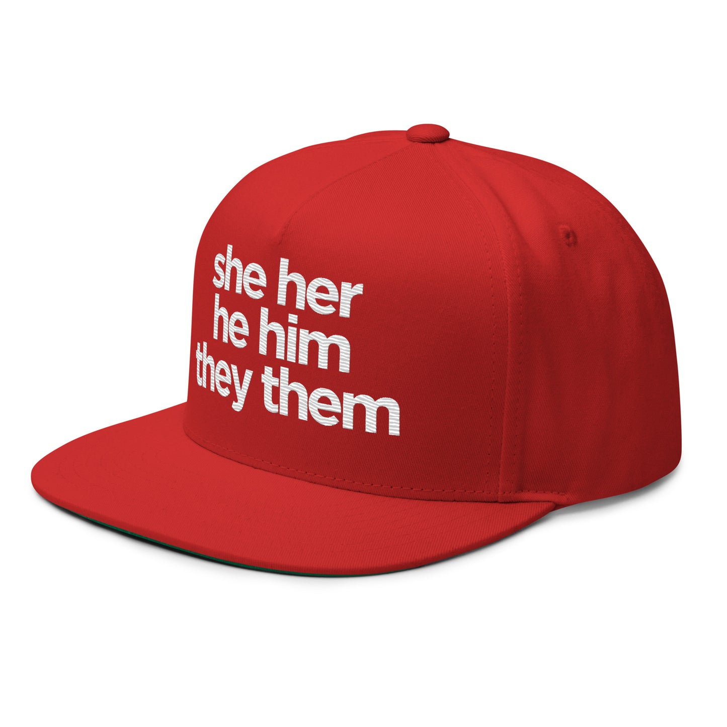 Pronoun Hat raising awareness and money for LGBTQ - Trevor Project. Pro-Democracy